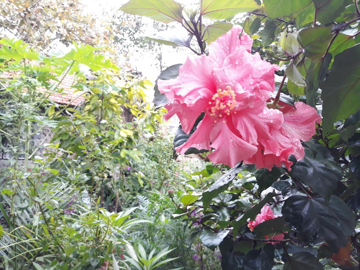 Mr. Viet Home Stay Ninh Binh Exterior foto