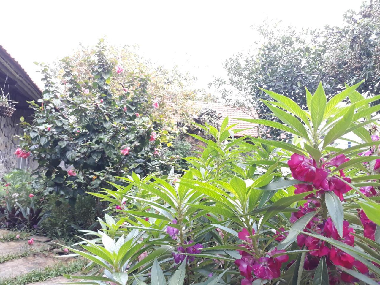 Mr. Viet Home Stay Ninh Binh Exterior foto