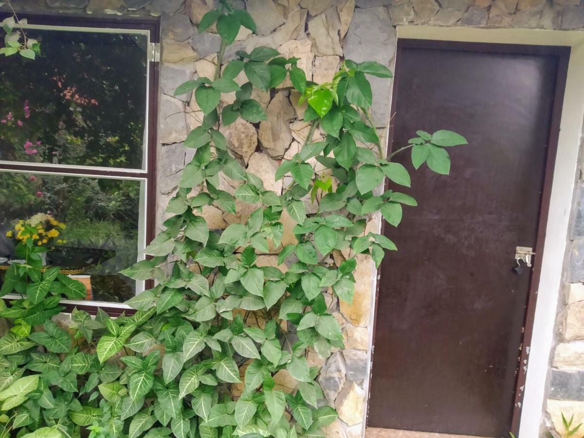 Mr. Viet Home Stay Ninh Binh Exterior foto