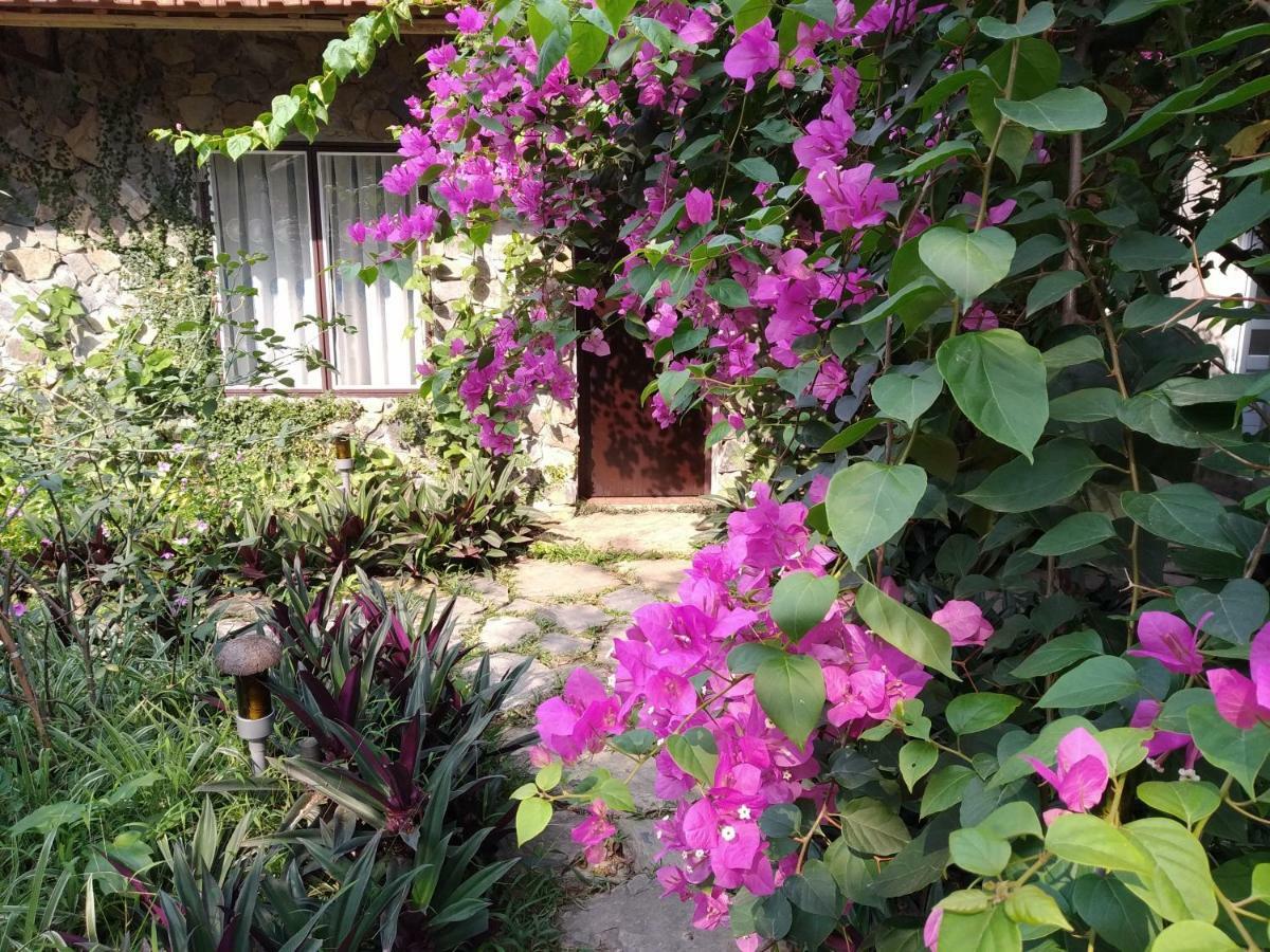 Mr. Viet Home Stay Ninh Binh Exterior foto